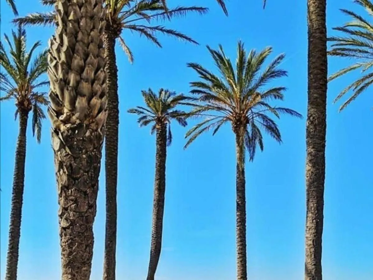 Estudio Renovado Con Terraza A 200M De La Playa De Roses + Parking Privado Y Climatizacion - Es-258-14 Spain